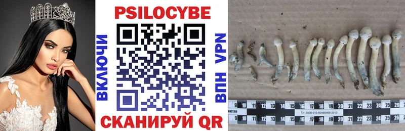 Галлюциногенные грибы прущие грибы Муром
